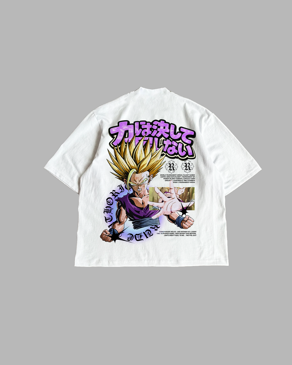 HIDDEN FURY 'PREMIUM' OVERSIZED TEE