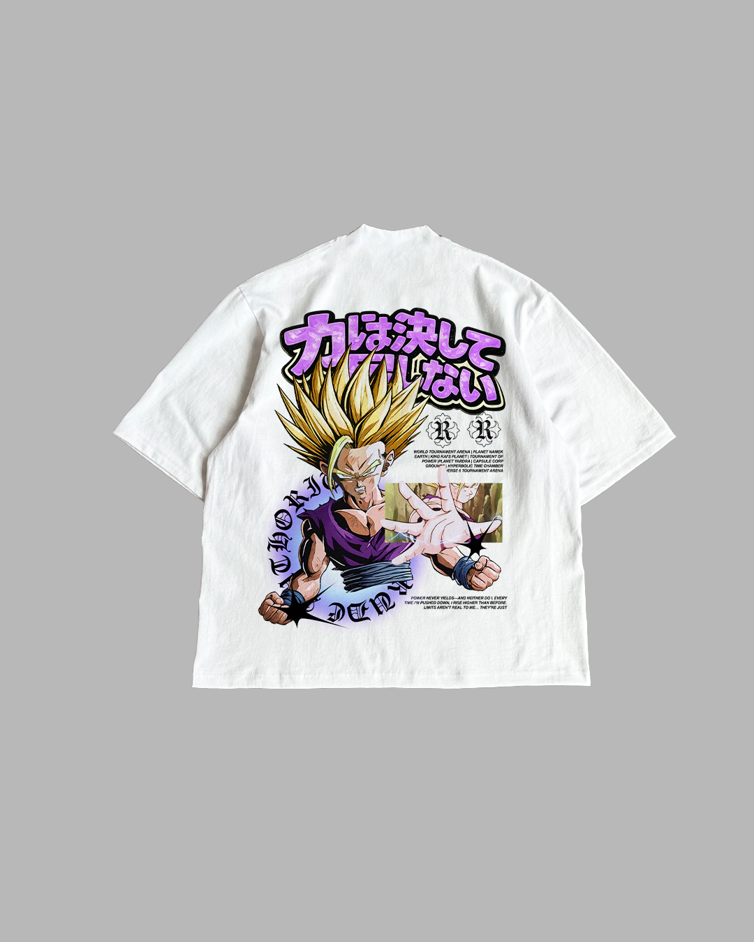 HIDDEN FURY 'PREMIUM' OVERSIZED TEE